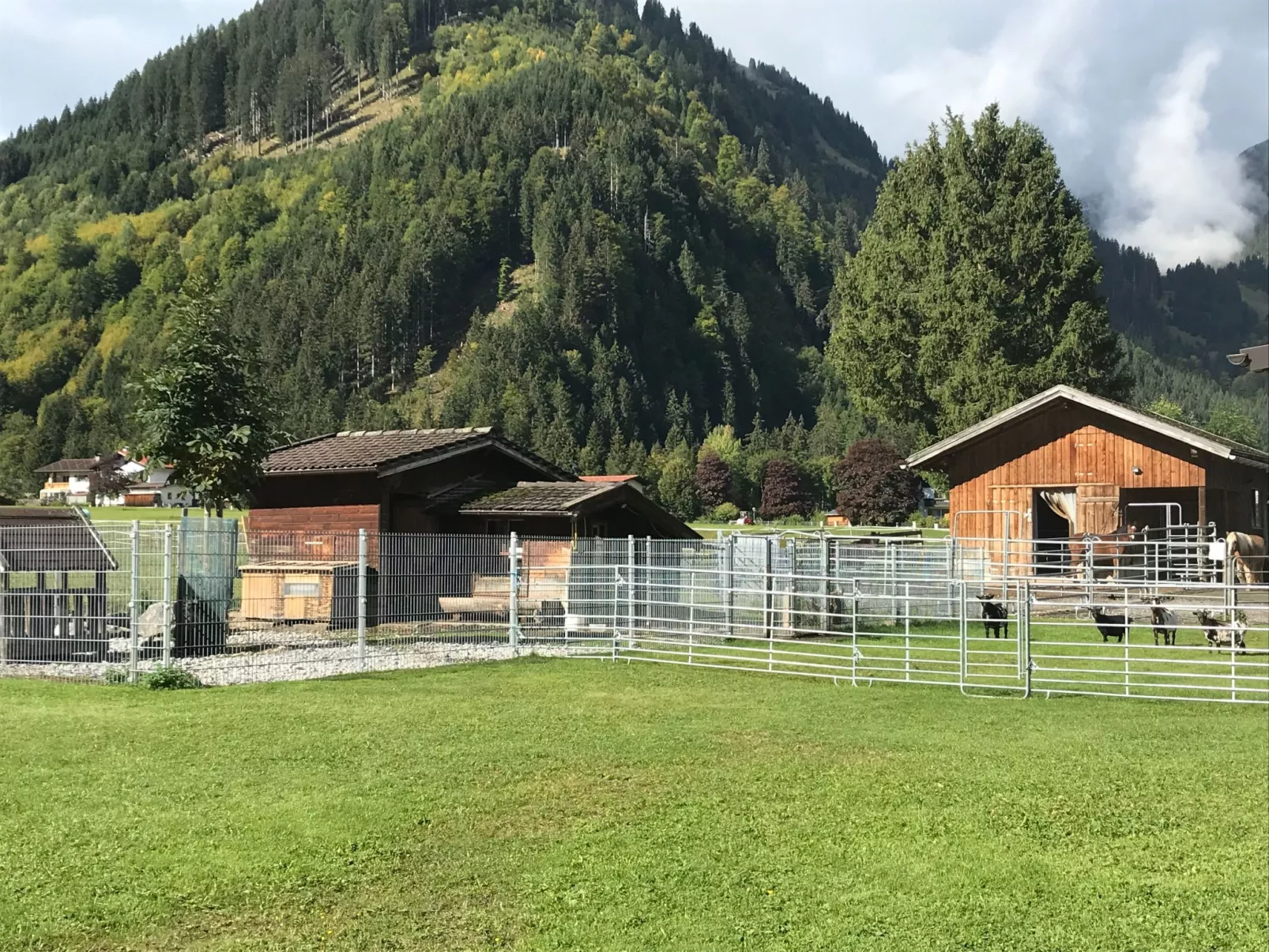 Pony-Ziegen-Hasen-Ranch in Bichlbach-Buiten
