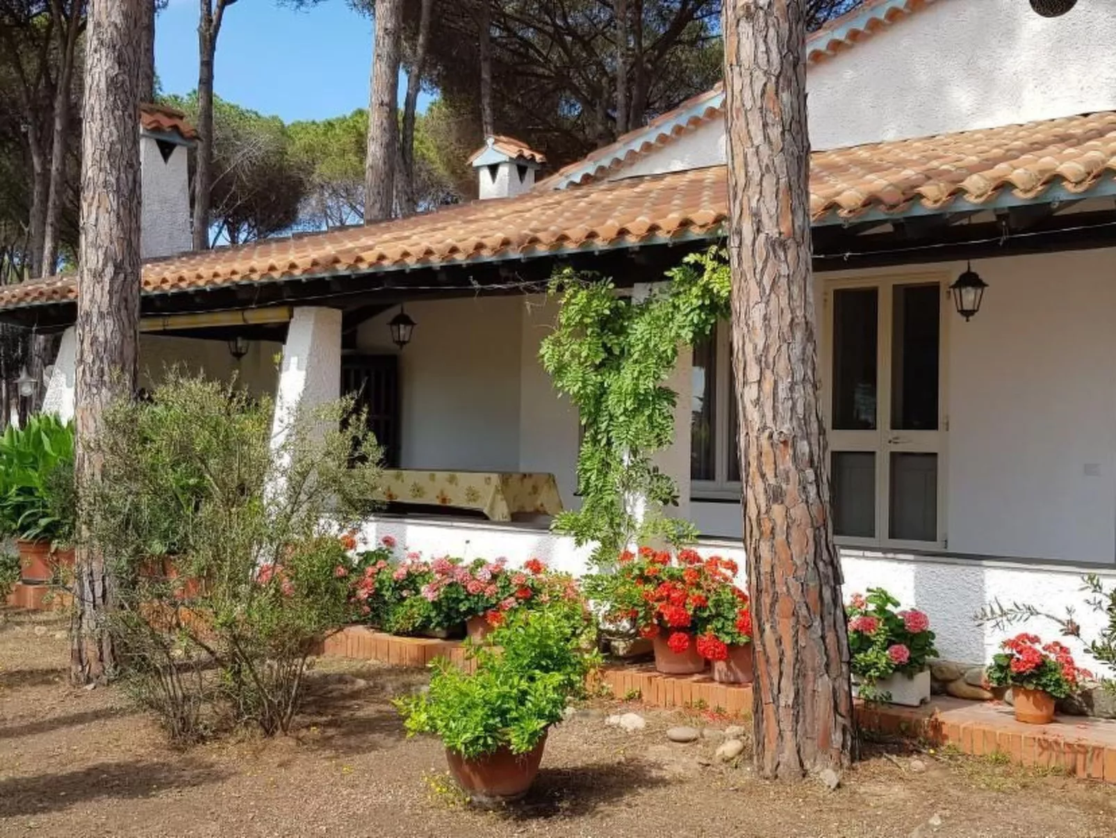 Mare e Pineta-Binnen