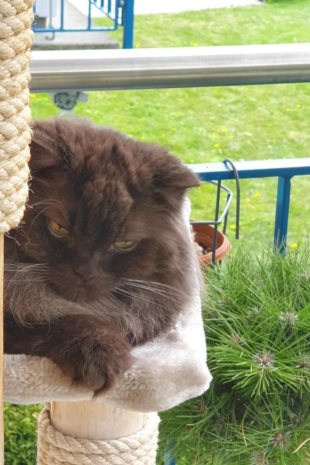 Bergsicht-Image-tags.info