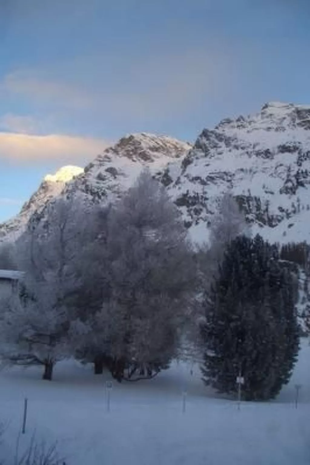 Chesa Allegria-Image-tags.info