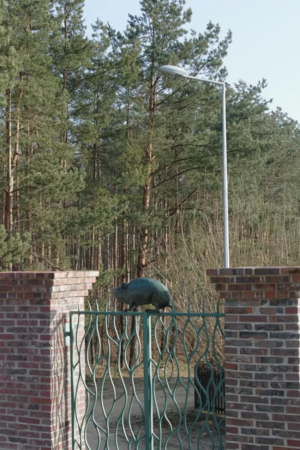 In ruhiger Lage am Waldrand-Buiten