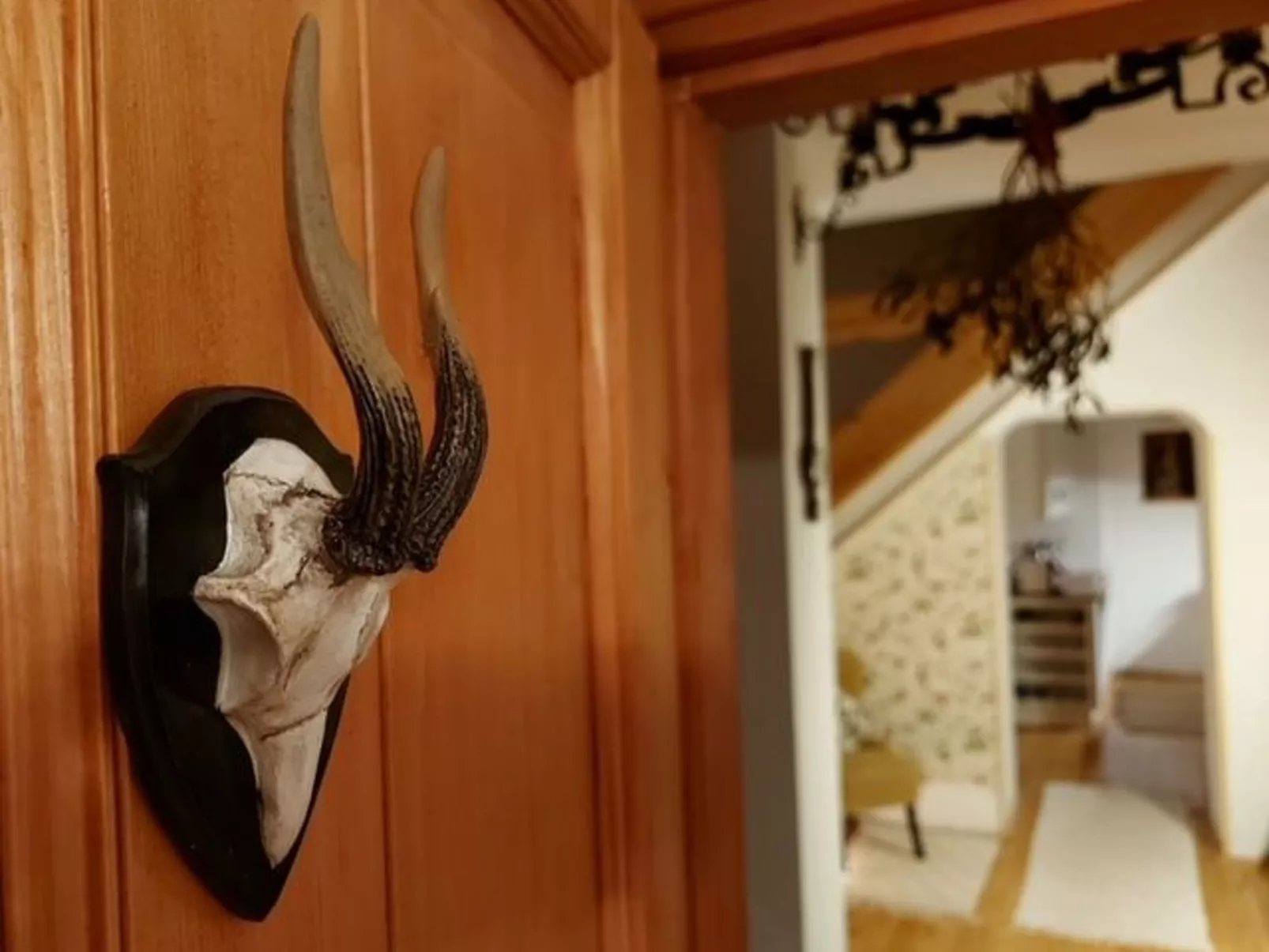 Am Weinberg-Image-tags.info