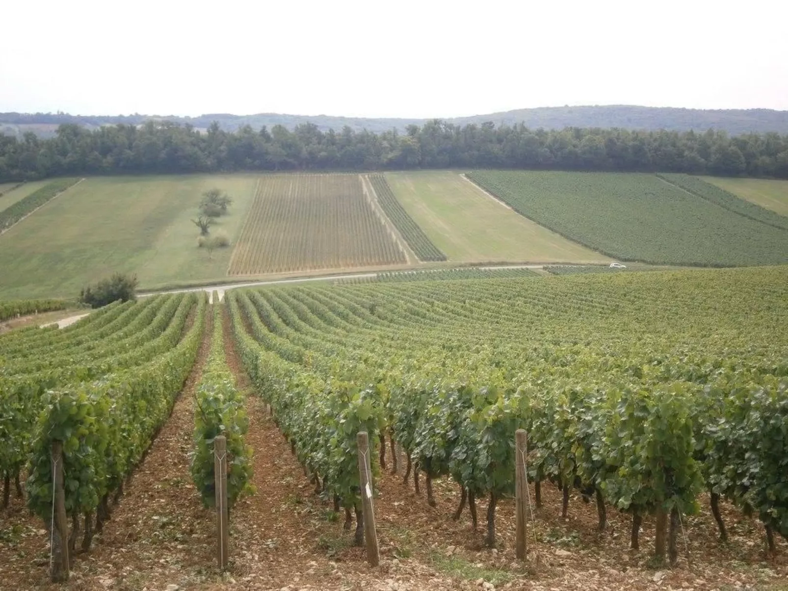 Le gite du randonneur (Das Ferienhaus des Wanderers)-Buiten