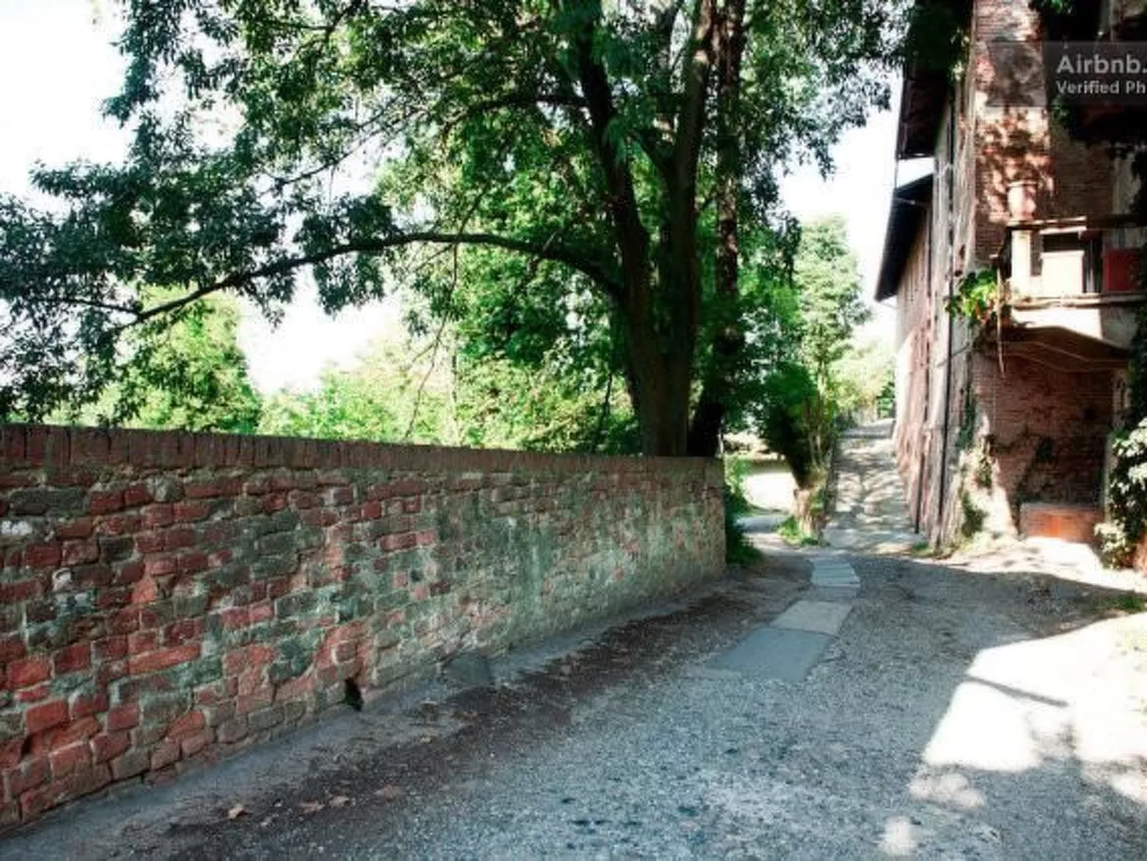 Vergissmeinnicht-Buiten