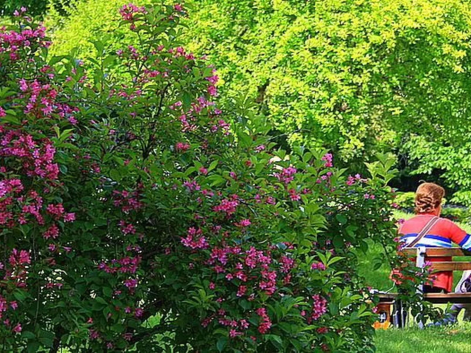 Ländliche Finca "Casa da Rocha"-Image-tags.info