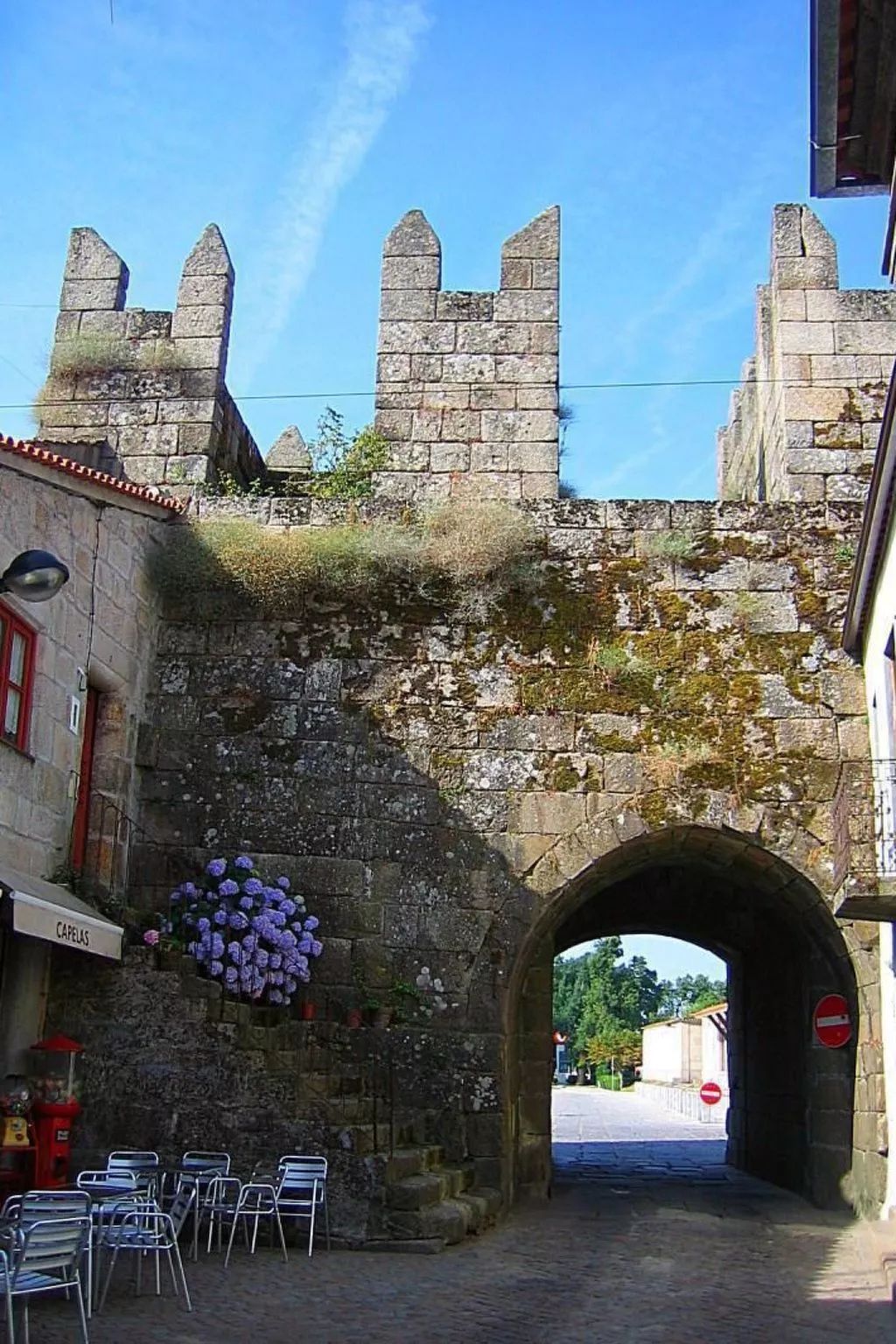 Ferien auf dem Bauernhof mit Weinberg-Buiten