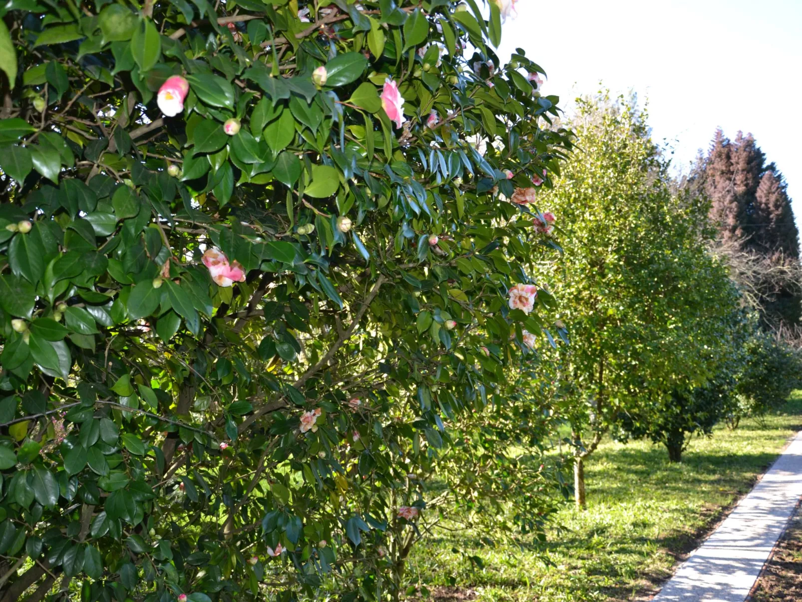 Quinta D'Avó Amélia, wunderschönes Landhaus zwischen den Bergen und dem Meer-Image-tags.info
