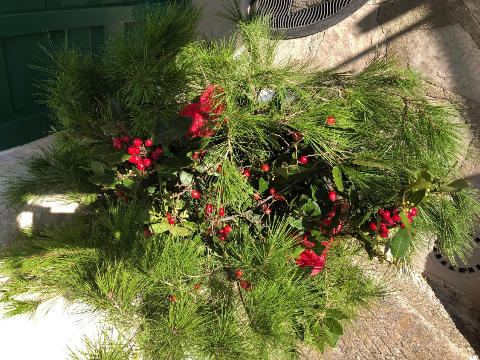 Mit Blick auf das Wasser-Buiten