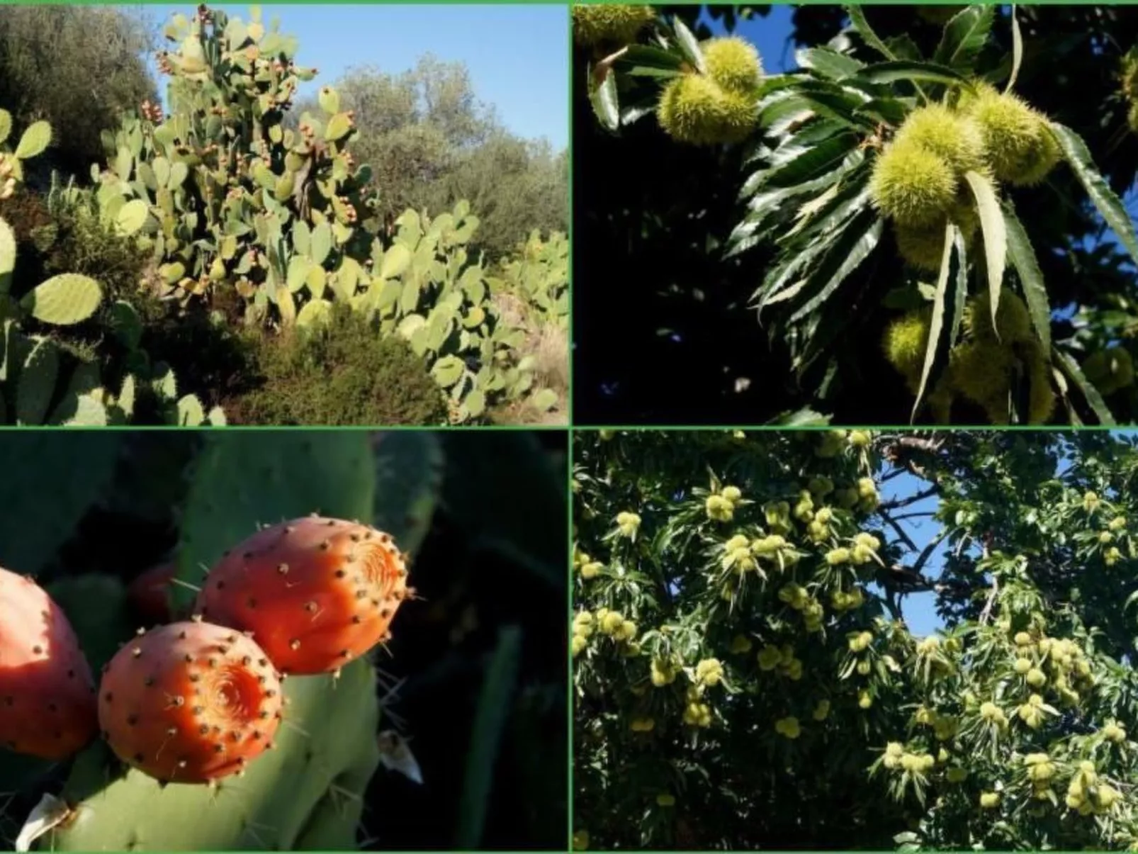 Wohnung mit allem Komfort Strand zu Fuß-Image-tags.info