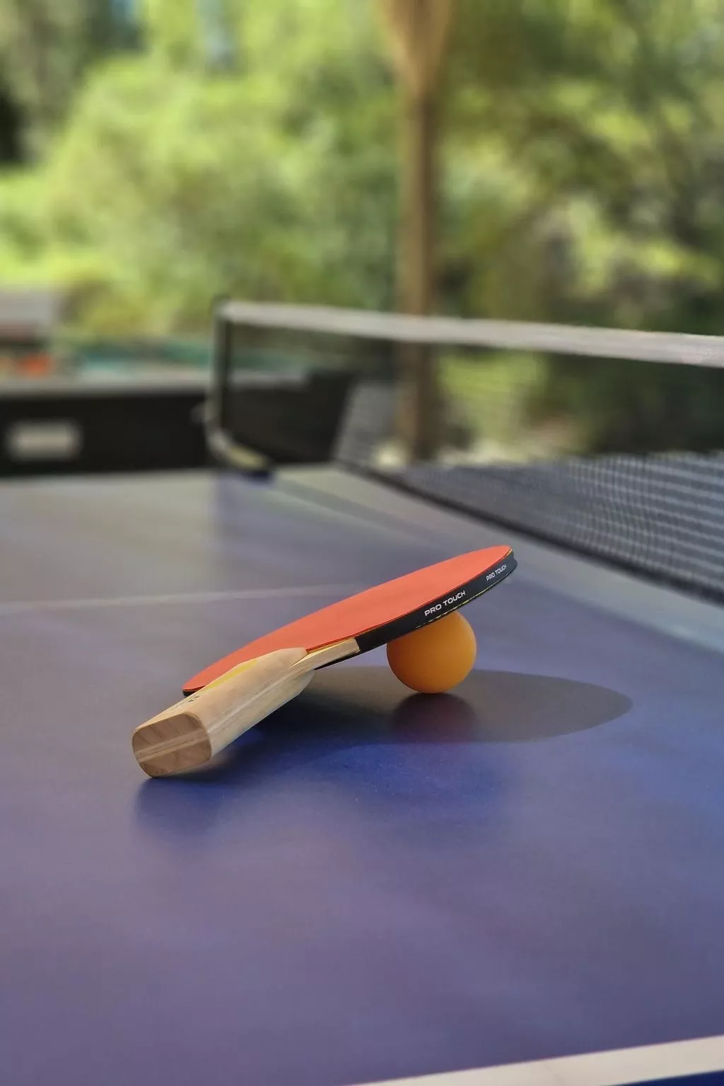 Massari Hills - Fuge - Image-tags.info