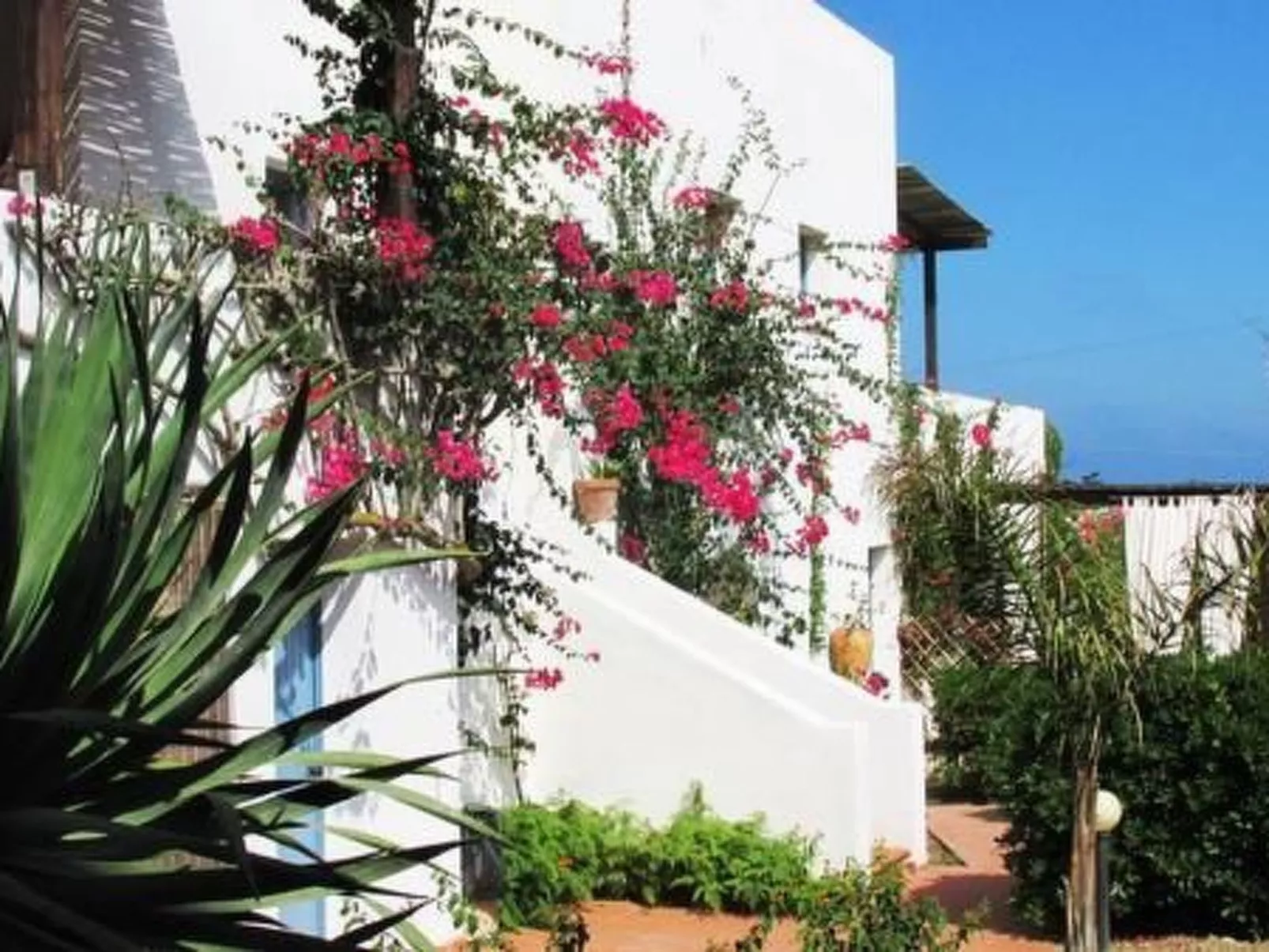 Exotic Suite in Pantelleria
