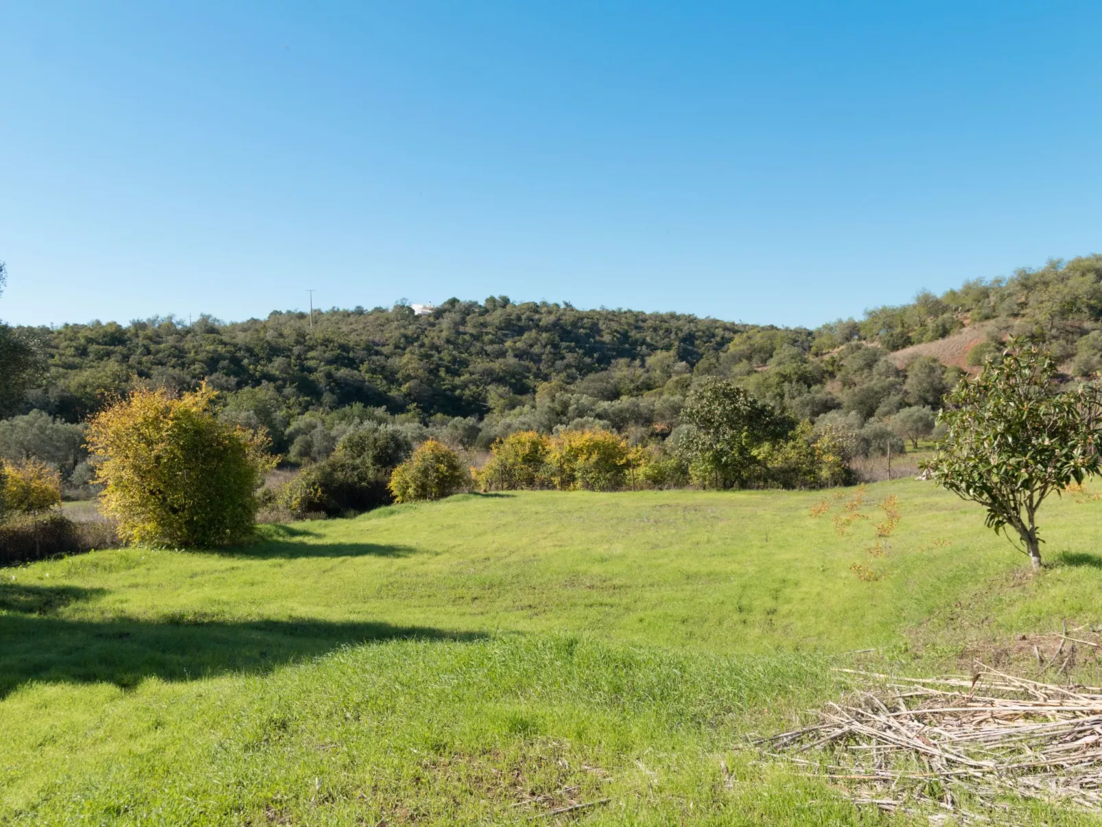Berghütte "Villa Romao"-Buiten
