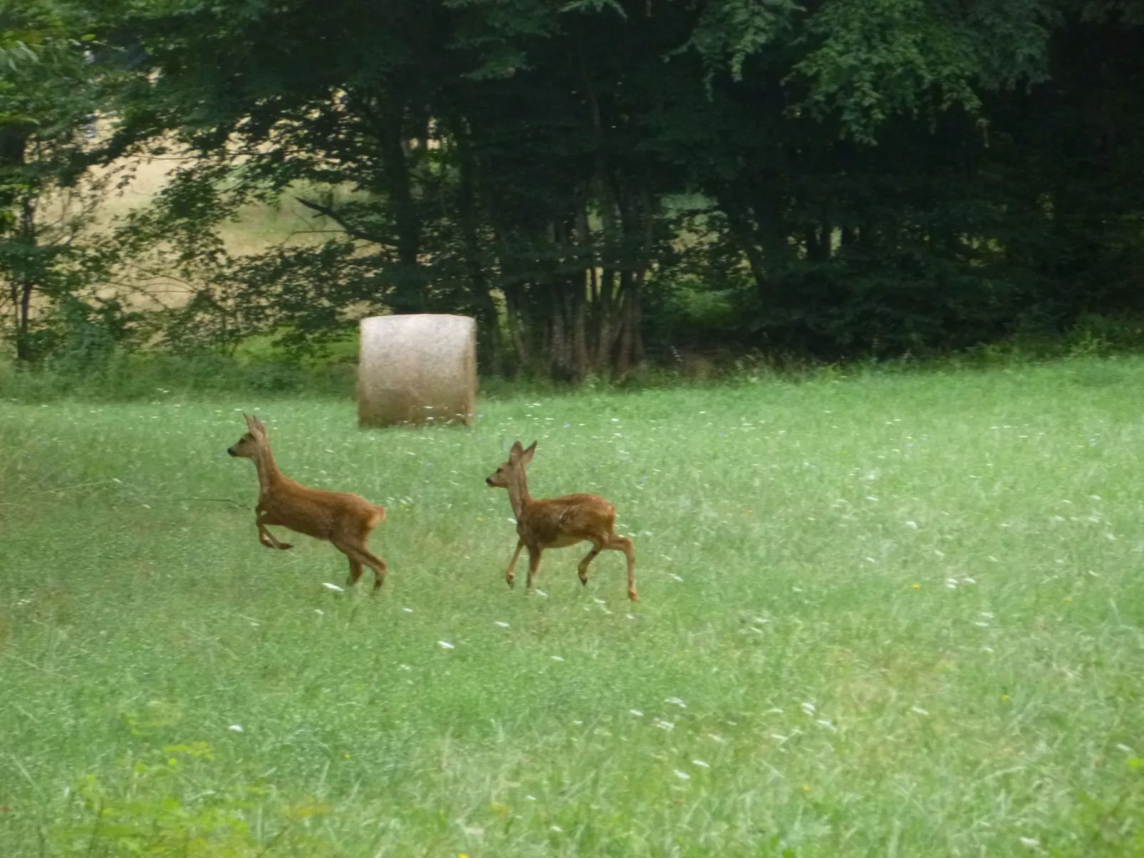 Komfort, Ruhe, privater Pool, EV-Ladestation-Buiten