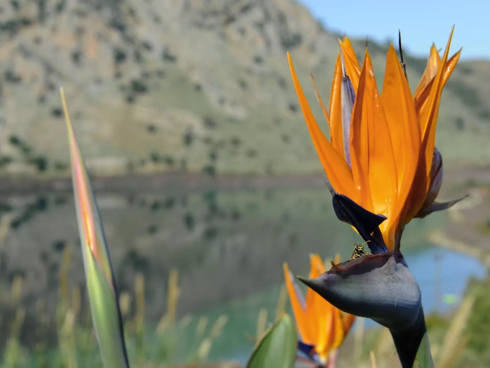 Villa mit Seeblick und Pool in der Nähe von Restaurants-Buiten