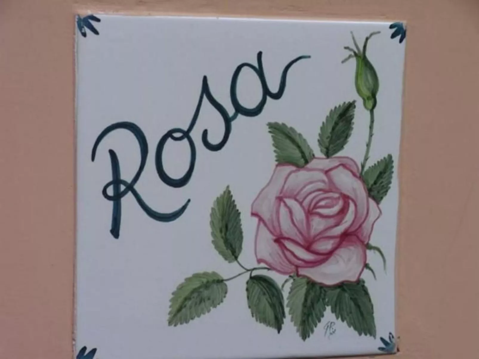 Rosa' Wohnung mit privatem Garten