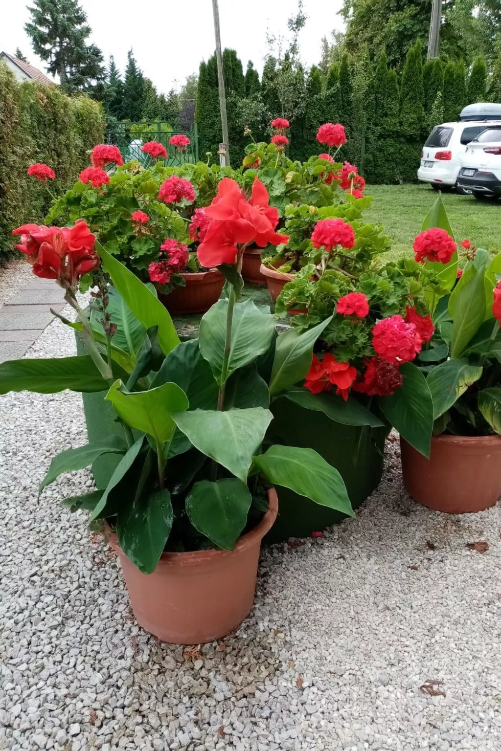 Feeienwohnung am See-Buiten