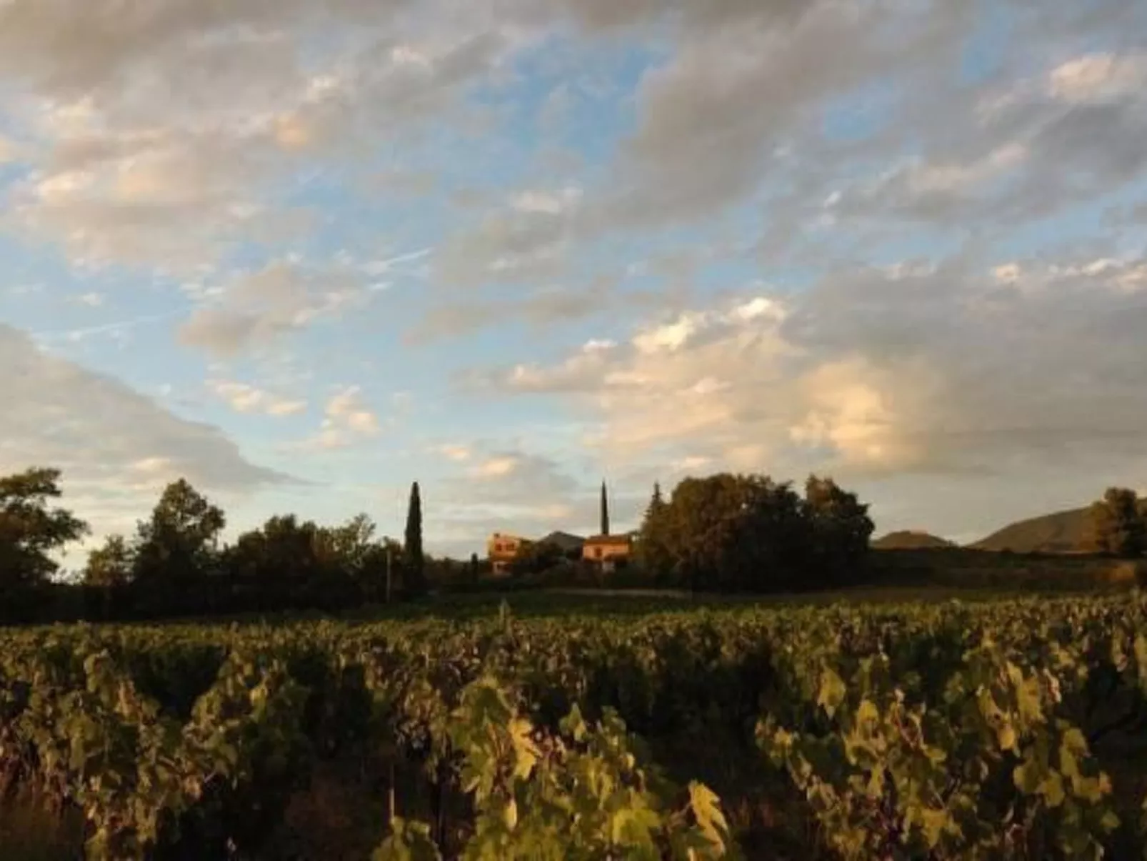 FERIENHAUS, FERIENHAUS "MAISON DE LAVANDE" (LAVENDELHAUS)-Buiten