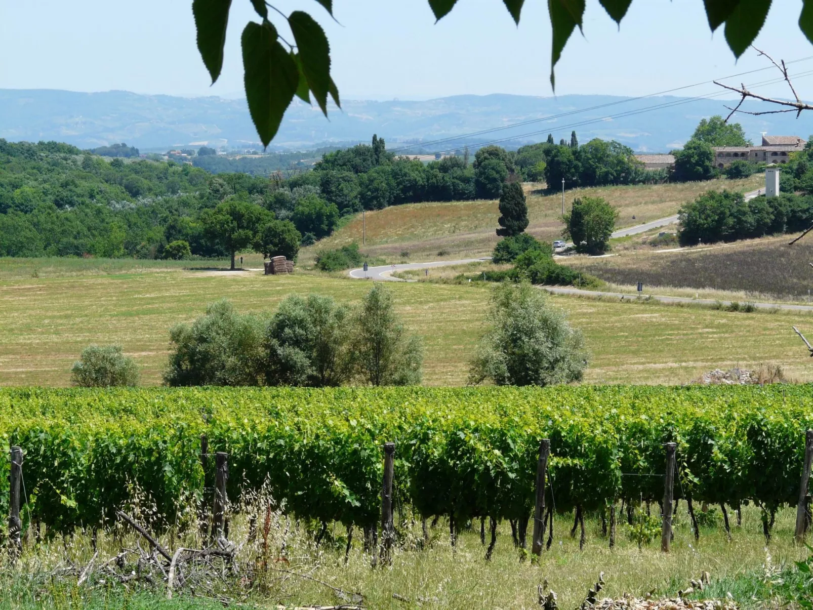 Wohnung "Santinovo pergola-Buiten