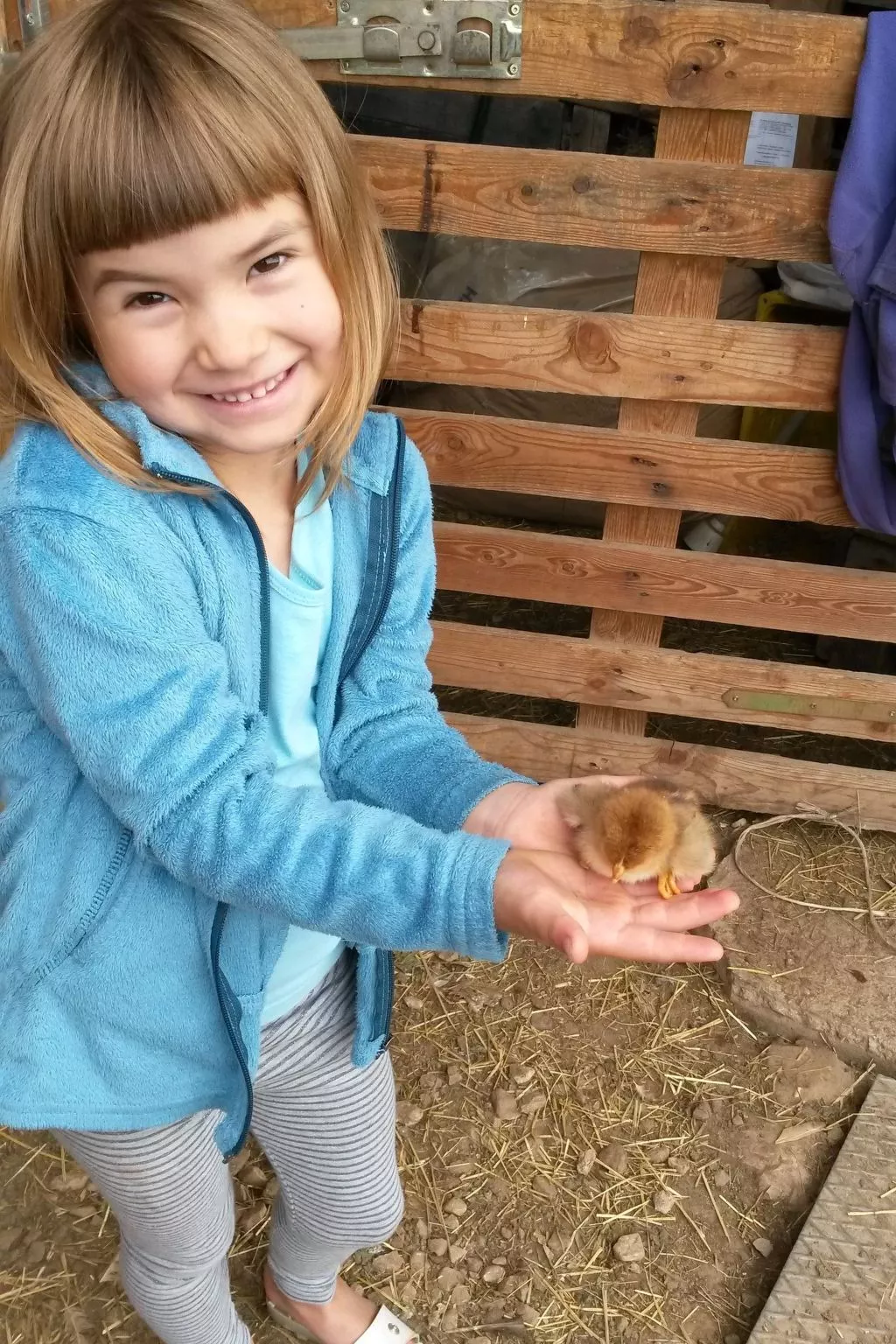 Apartment Merlot in Kurtatsch mit Panoramablick-Image-tags.info