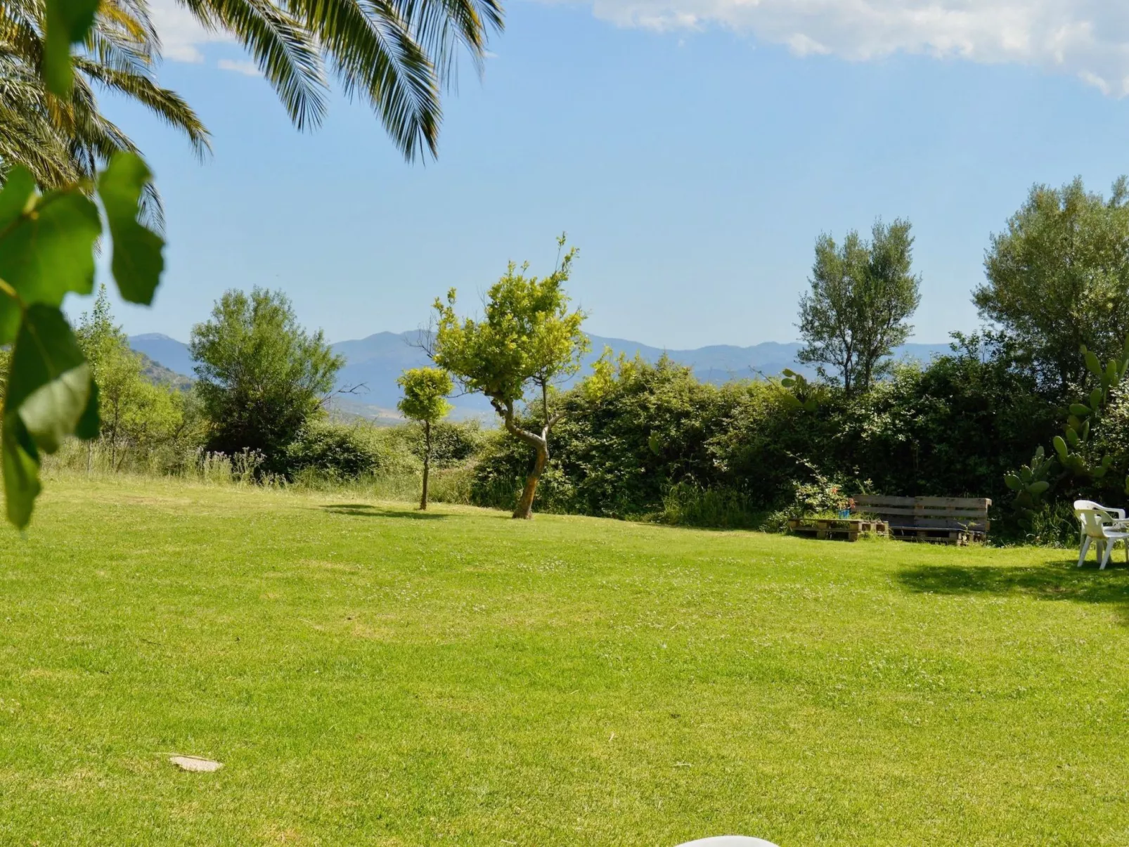 Cortijo Pulgarin Bajo - Buiten