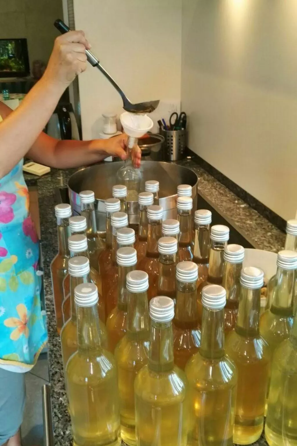 Gala+ Vernatsch-Image-tags.info