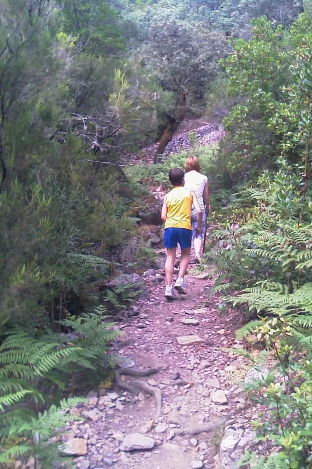 Wohnung in Sotoserrano mit Terrasse und Garten-Image-tags.info