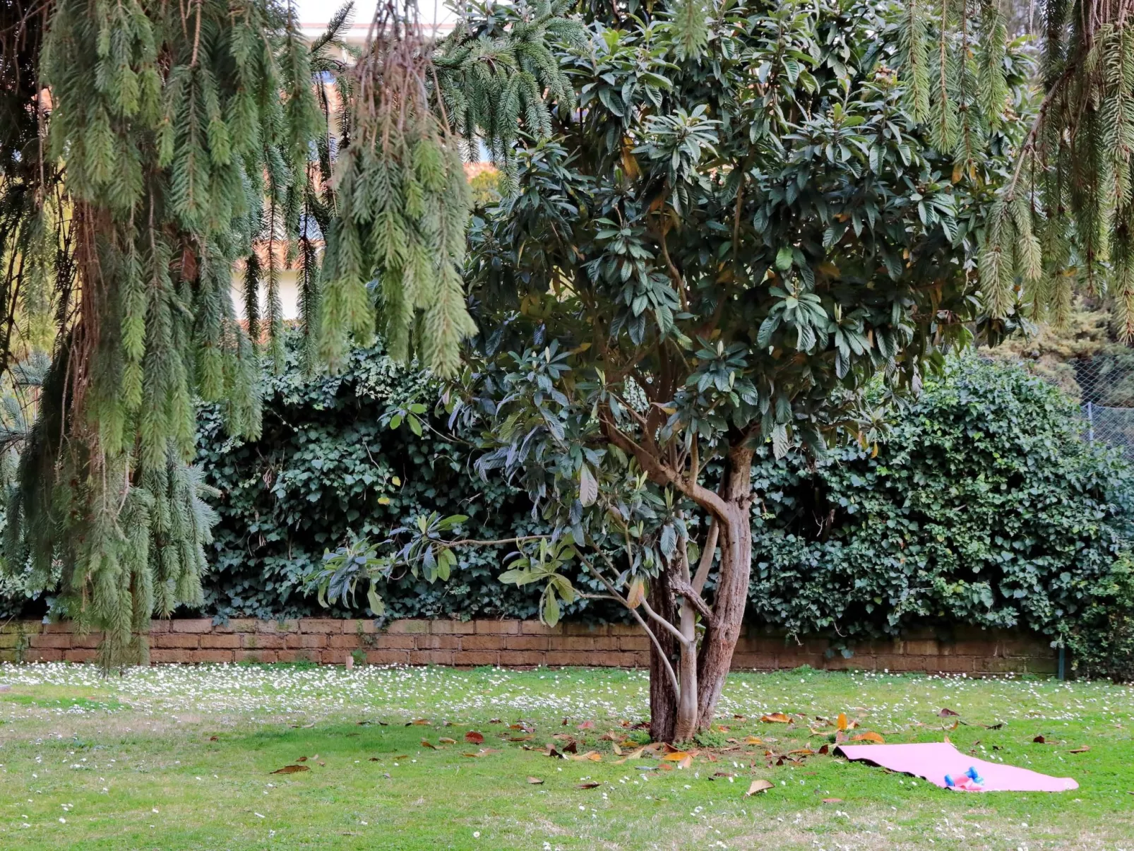 'Aurelia Antica Suite-Buiten