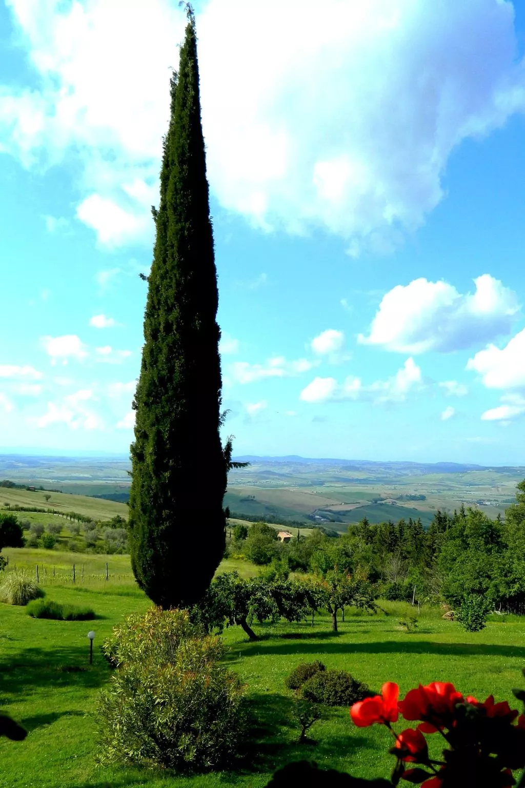 Haus Claudia mit schönem Garten-Buiten