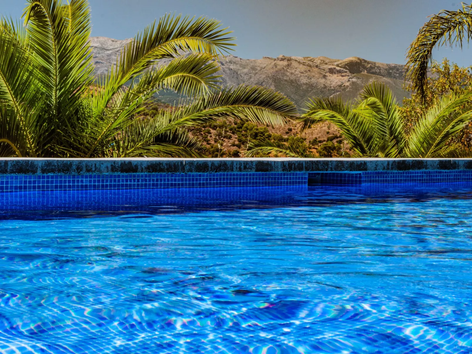 Seeadlerhorst-Buiten