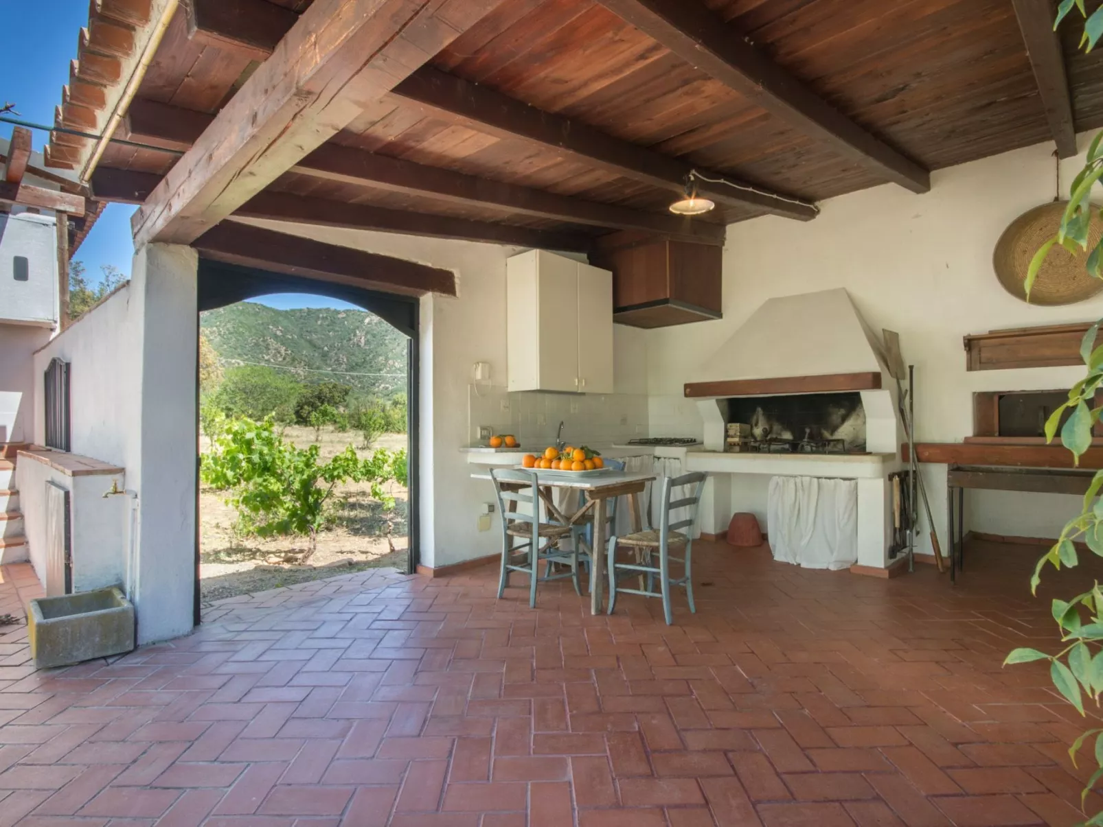 Natur, ökologische Nachhaltigkeit, nur für Erwachsene, Meer in der Nähe-Image-tags.info