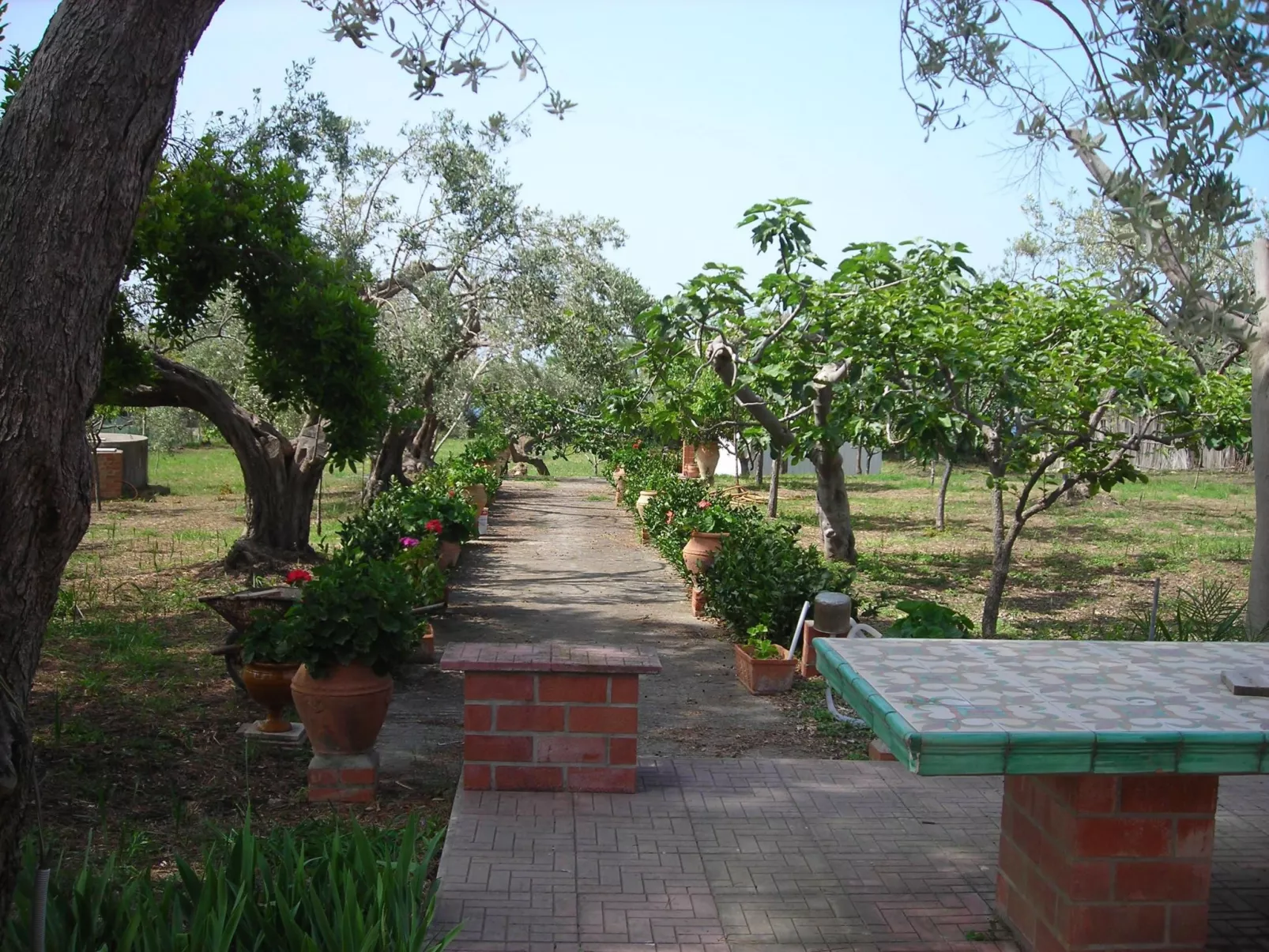 Direkt am Strand-Image-tags.info