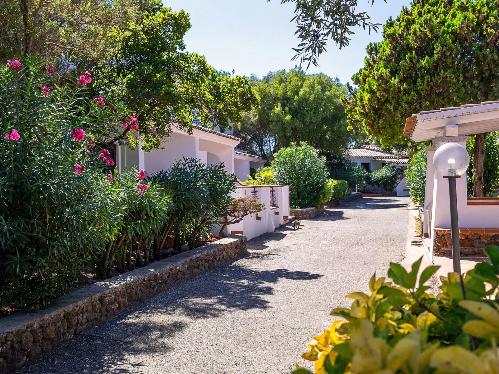 Apt. Dorata 2C, mit gemeinsamem Schwimmbad-Image-tags.info