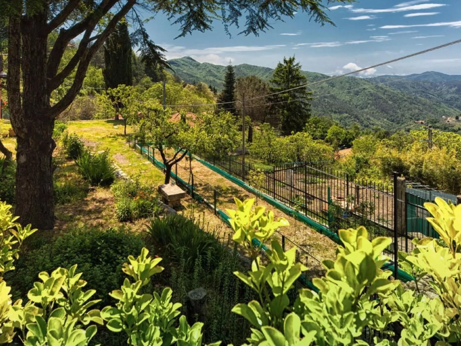 Wohnung in Velva mit Grill, Terrasse und Garten-Image-tags.info