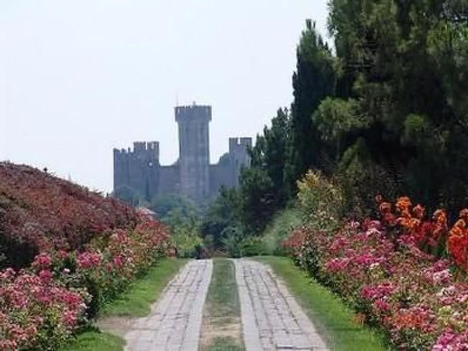 FeWo C-36-Image-tags.info