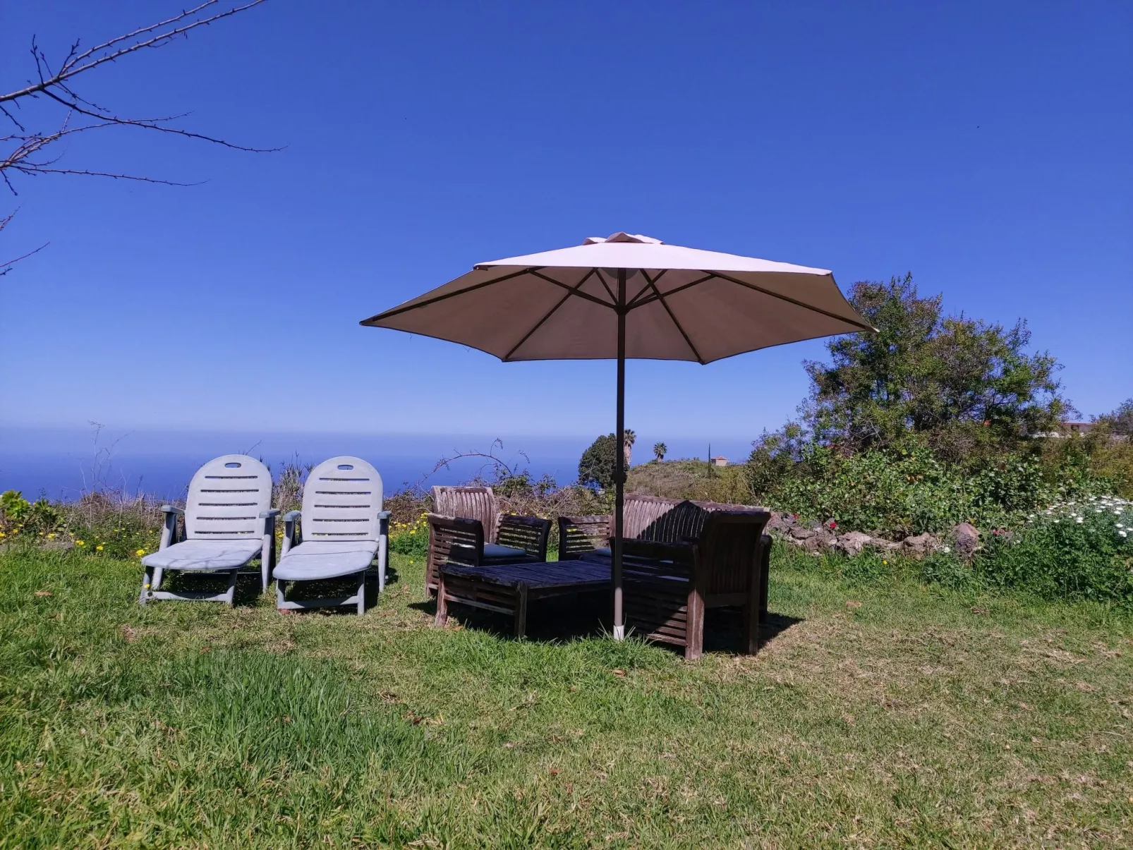 FW Cueva del Viento - Image-tags.info