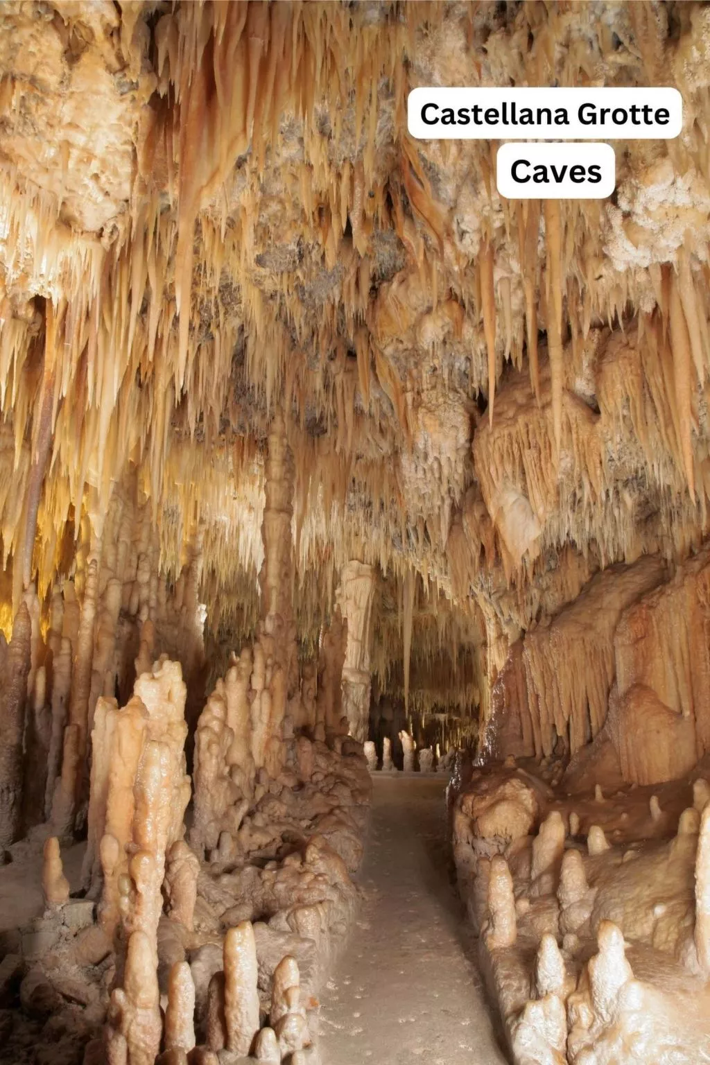 'Villa Nami' in Strandnähe-Image-tags.info