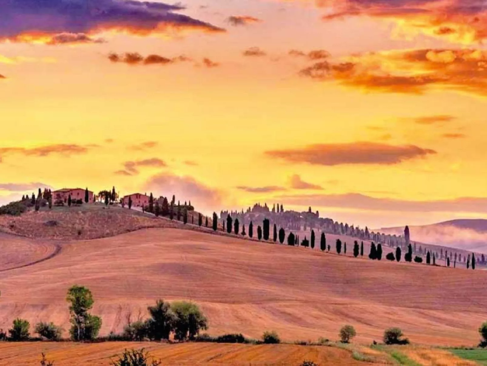 Haus Pino - Podere Fossaccio-Omgeving