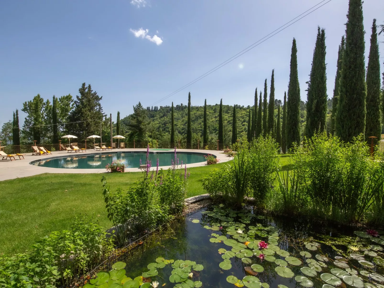 Villa Benfenati genialer Pool, Hochzeit, ganzer Zaun-Buiten