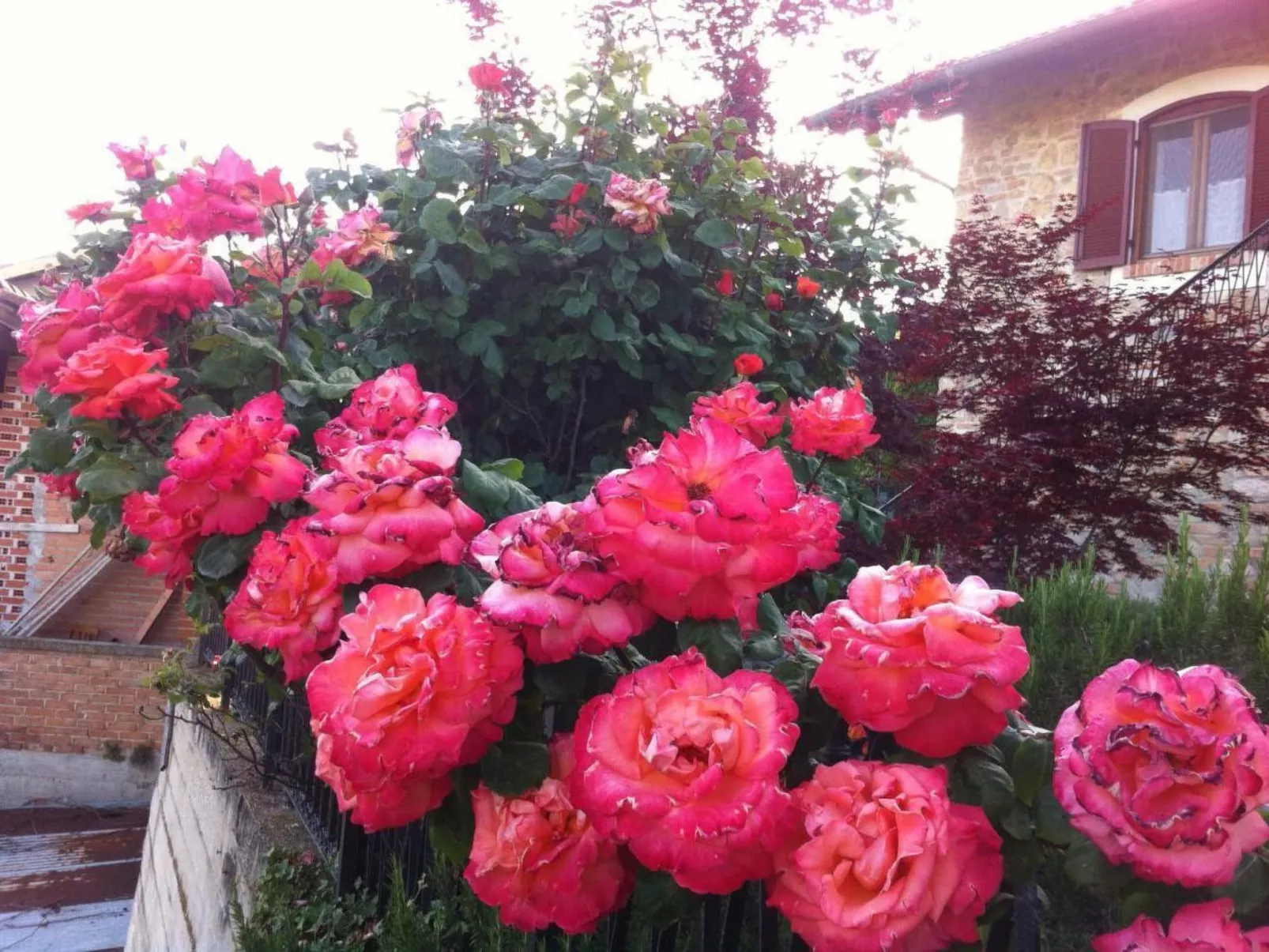 In Verduno mit Gemeinschaftspool-Buiten