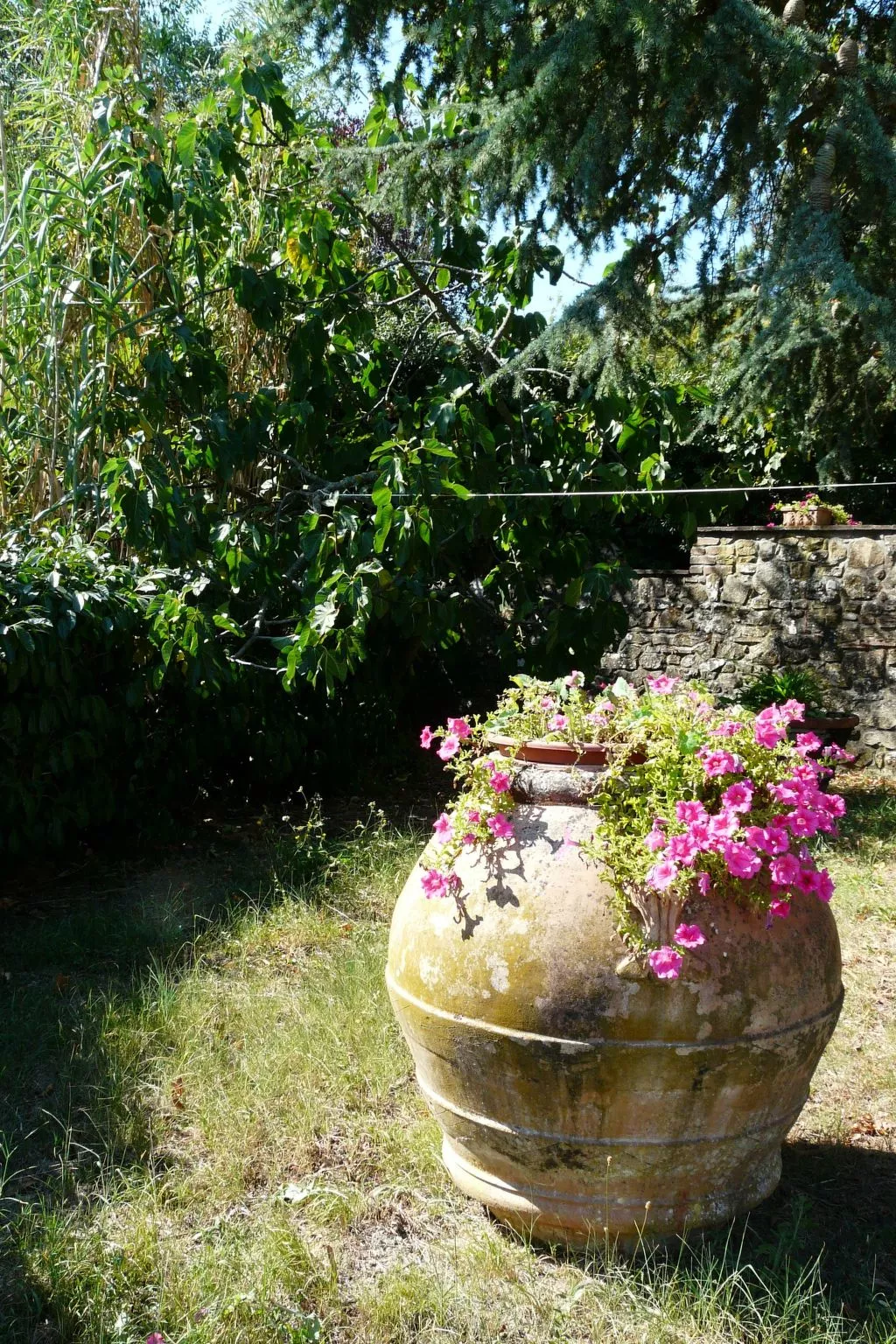 Villa 'Cimpoli casa' mit Garten und Grill-Buiten