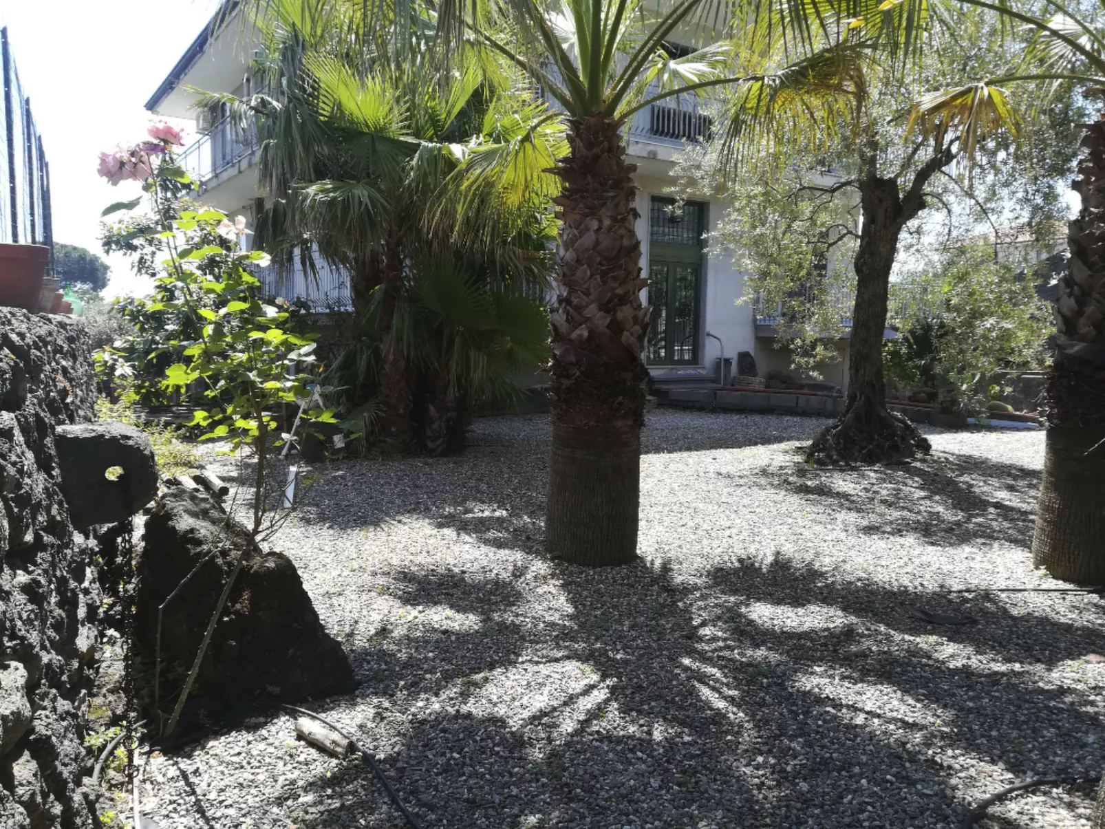 Le Palme in linera-Buiten