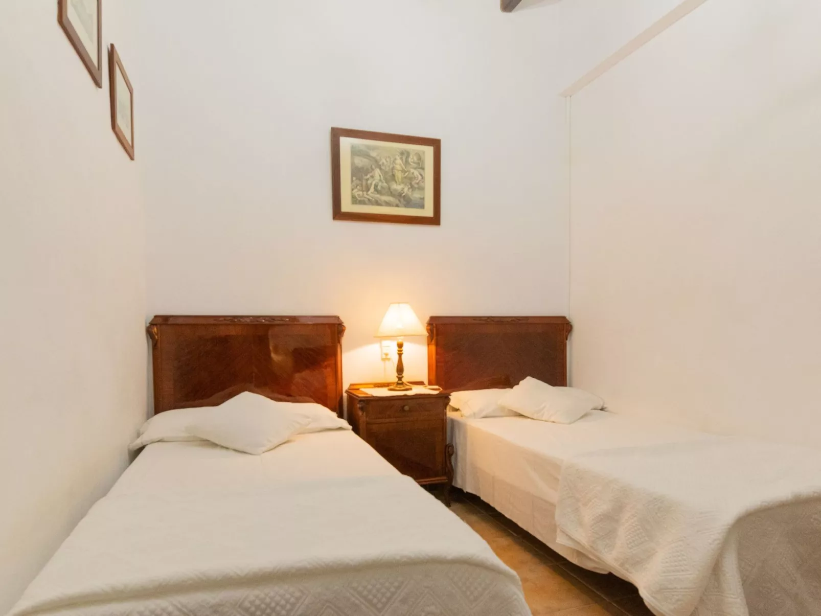 "Murtera-Image-tags.info