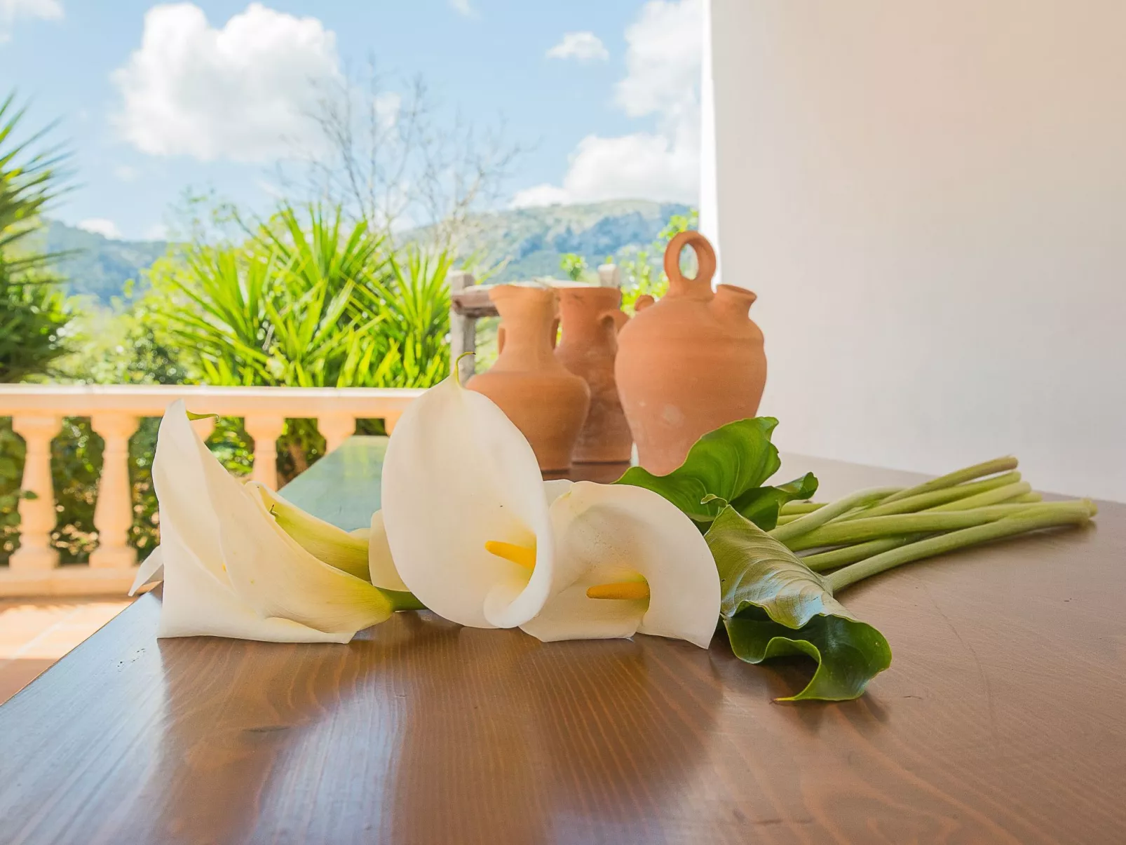 Villa para 5 Colonya Jaume BBQ, Pingpong Pollensa-Image-tags.info