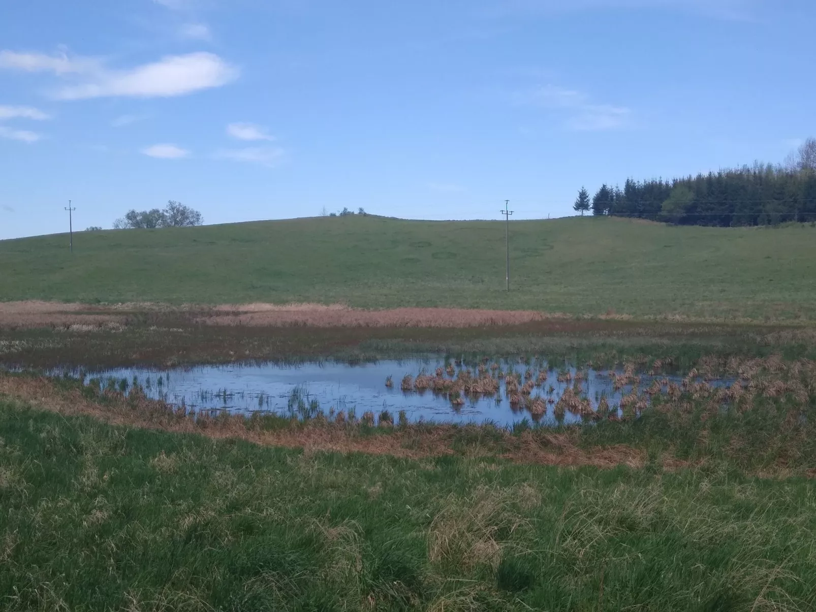 Vogelecke - abseits des Trubels und der Hektik-Image-tags.info