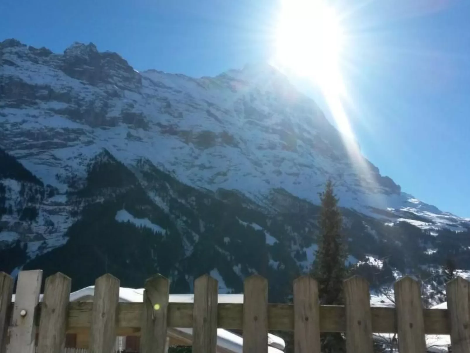 Abegglen-Image-tags.info