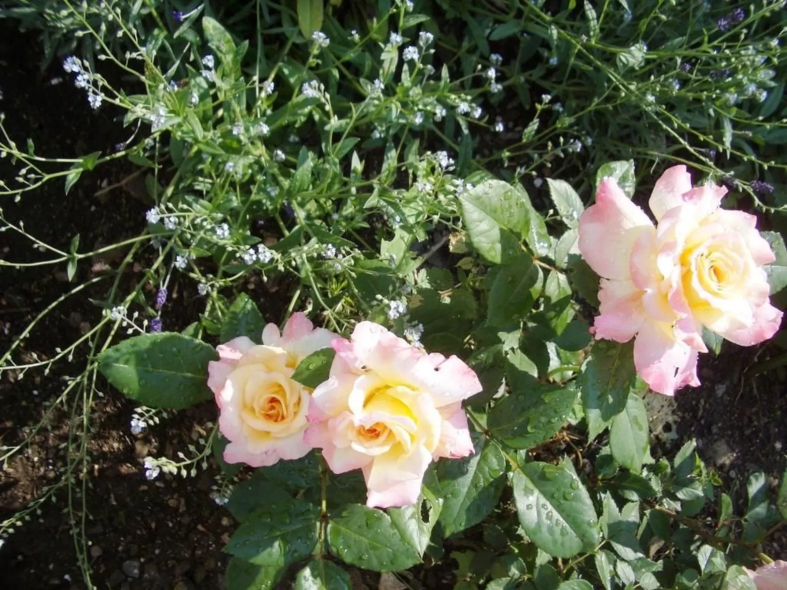 Black & White-Buiten