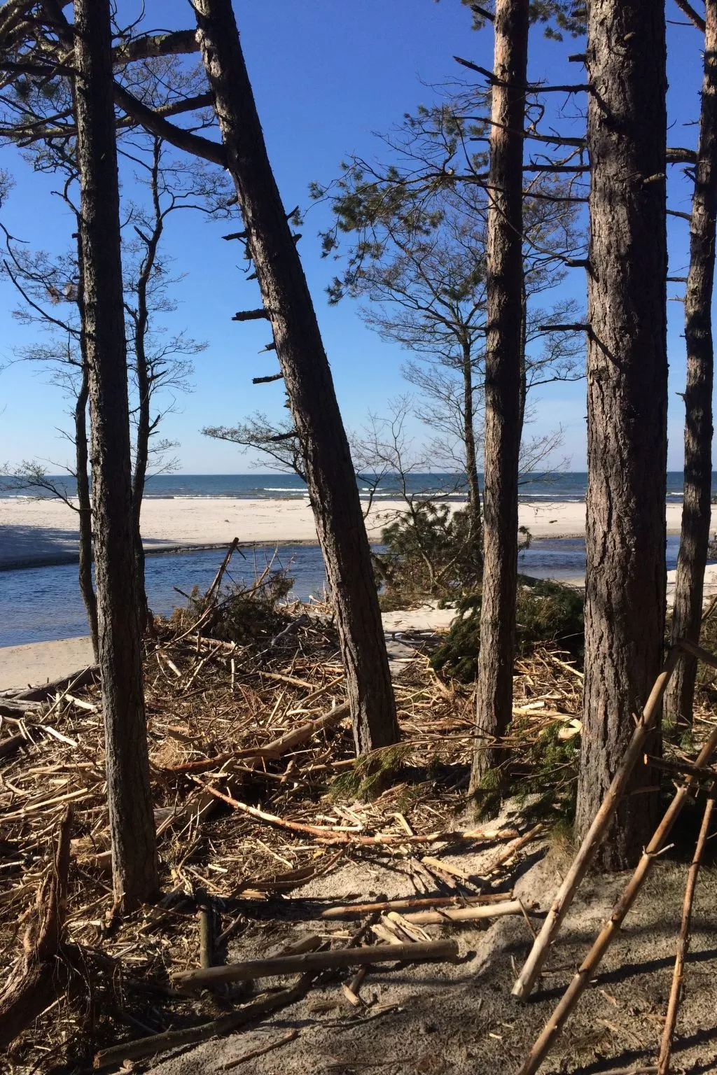Mit Schwimmbad-Buiten