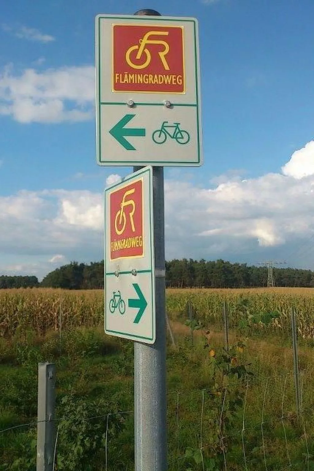 In ruhiger Lage am Waldrand mit Terrasse und großem Grundstück-Buiten