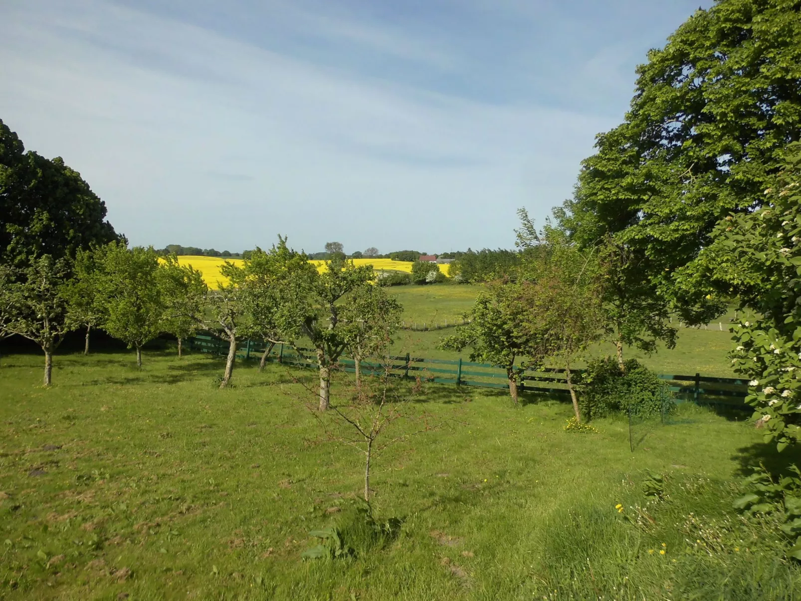 Haus in Zimmert mit Terrasse, Grill und Garten-Buiten
