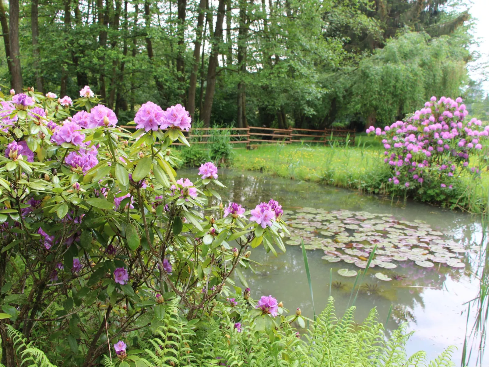 Ferienvilla mit eigener Sauna-Buiten